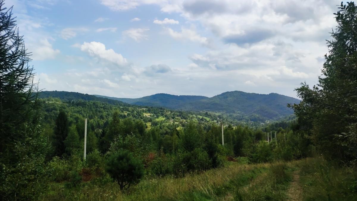 На шляху до Ямельниці / фото Марина Григоренко