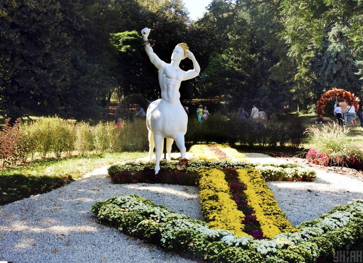 На Співочому полі у Києві відкрилася астрологічна виставка хризантем (фоторепортаж) 6 На Співочому полі у Києві відкрилася астрологічна виставка хризантем (фоторепортаж)