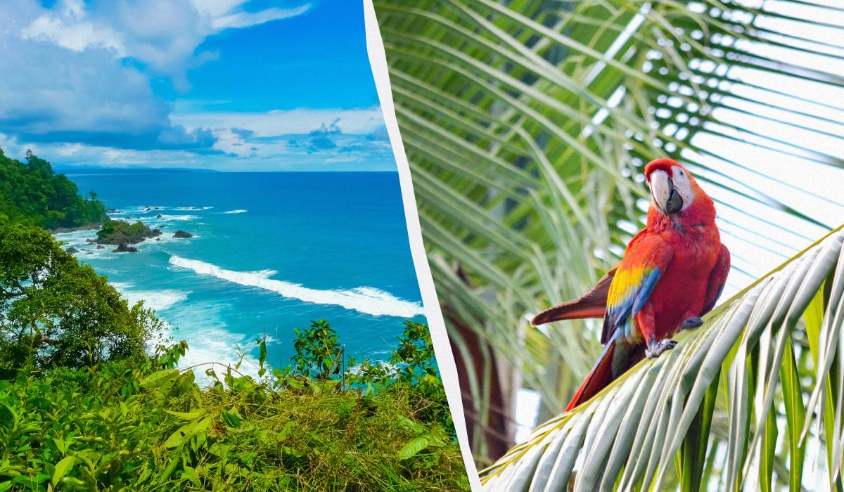 Time Out назвав недооцінені туристичні напрямки у світі, куди можна втекти від натовпів 1 Очолив рейтинг півострів Оса в Коста-Ріці / колаж D.UA, фото ua.depositphotos.com