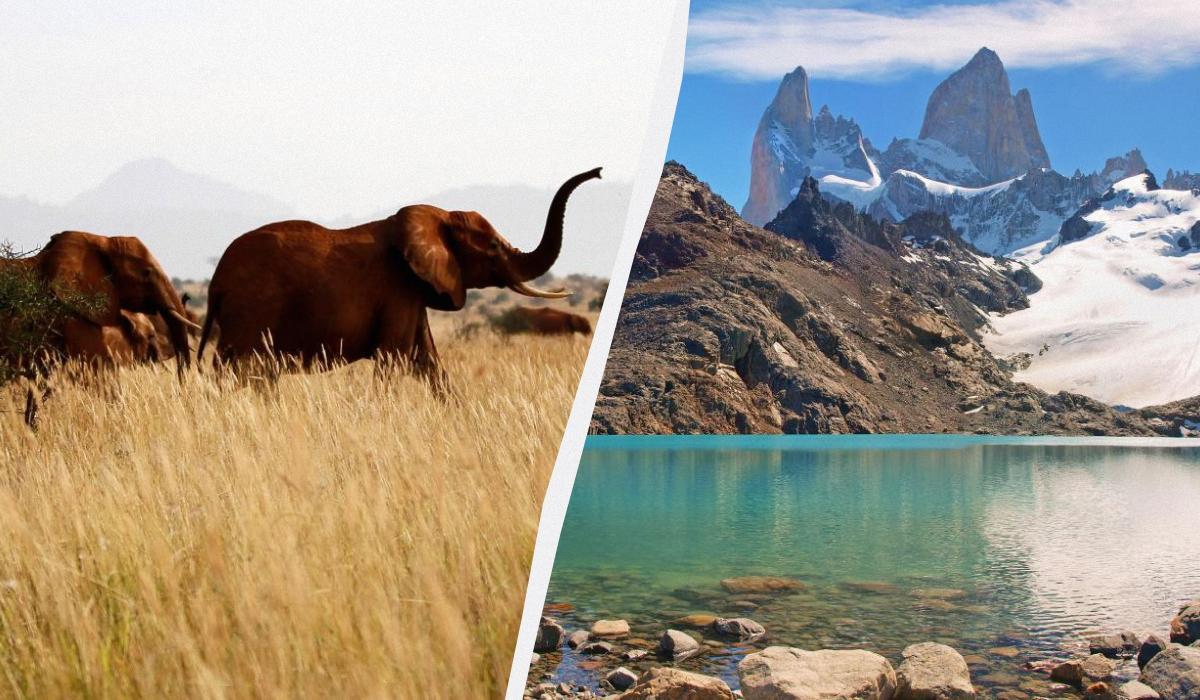Поїздки на сафарі в Кенію або тур Патагонією вимагають тривалої підготовки / колаж D.UA, фото REUTERS, ua.depositphotos.com