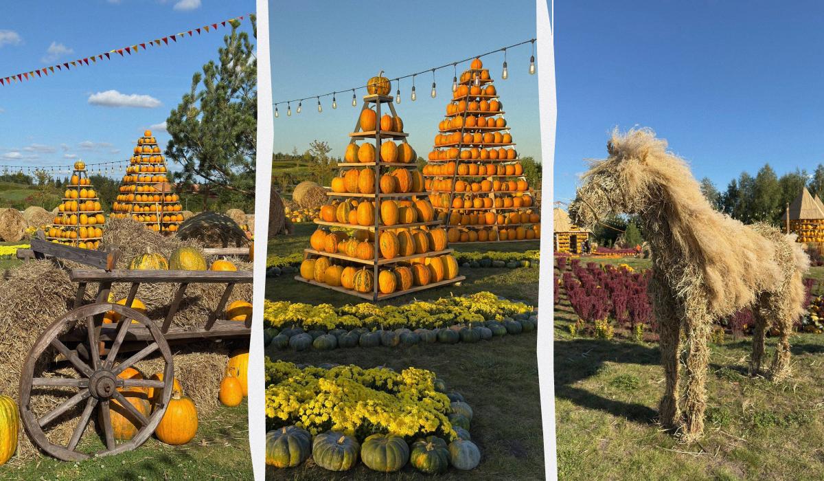 Гарбузи у "Добропарку" восени 2025 року / колаж D.UA, фото facebook.com/dobropark.ua