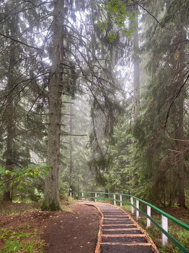 В Карпатах запустили новий туристичний маршрут, що з'єднає п'ять країн (фоторепортаж) 7 В Карпатах запустили новий туристичний маршрут, що з'єднає п'ять країн (фоторепортаж)