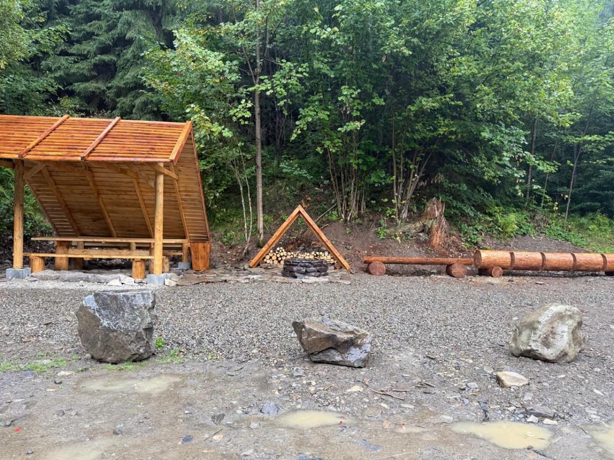 В Карпатах запустили новий туристичний маршрут, що з'єднає п'ять країн (фоторепортаж) 10 В Карпатах запустили новий туристичний маршрут, що з'єднає п'ять країн (фоторепортаж)