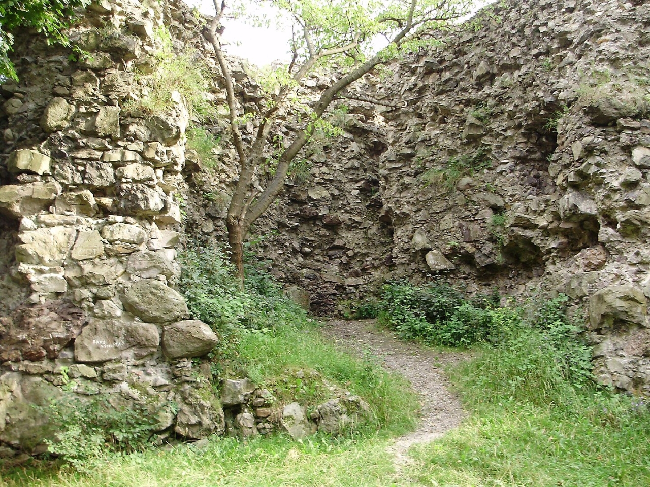 Замки Закарпаття де не бувають туристи - 5 старовинних фортець 3