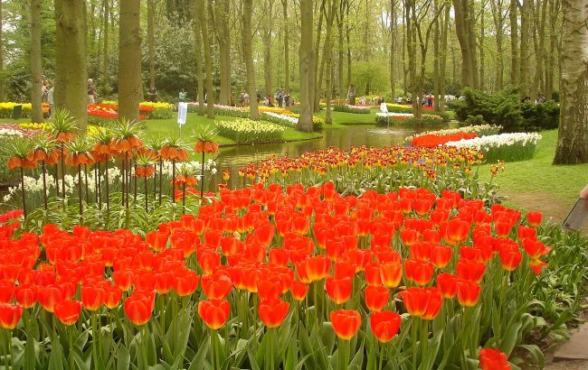 Ботанічні сади світу - де розташовані і рейтинг для подорожей 1