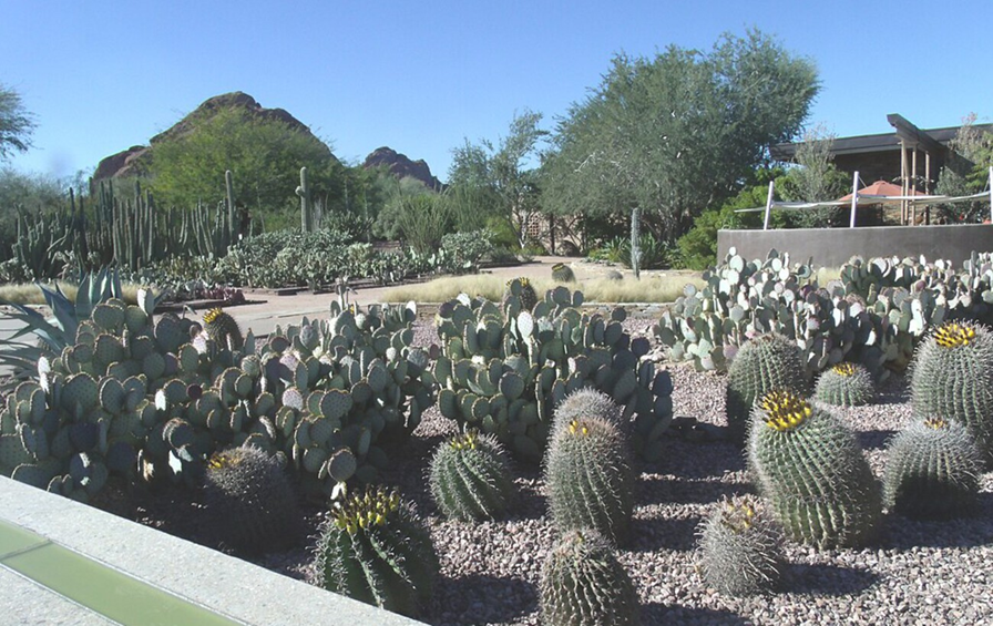 Ботанічні сади світу - де розташовані і рейтинг для подорожей 7