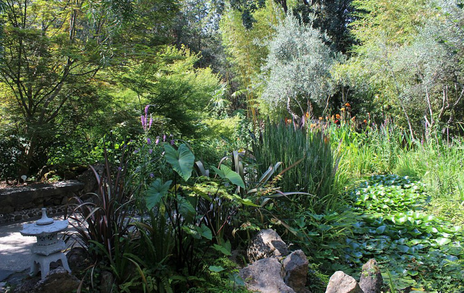 Ботанічні сади світу - де розташовані і рейтинг для подорожей 9