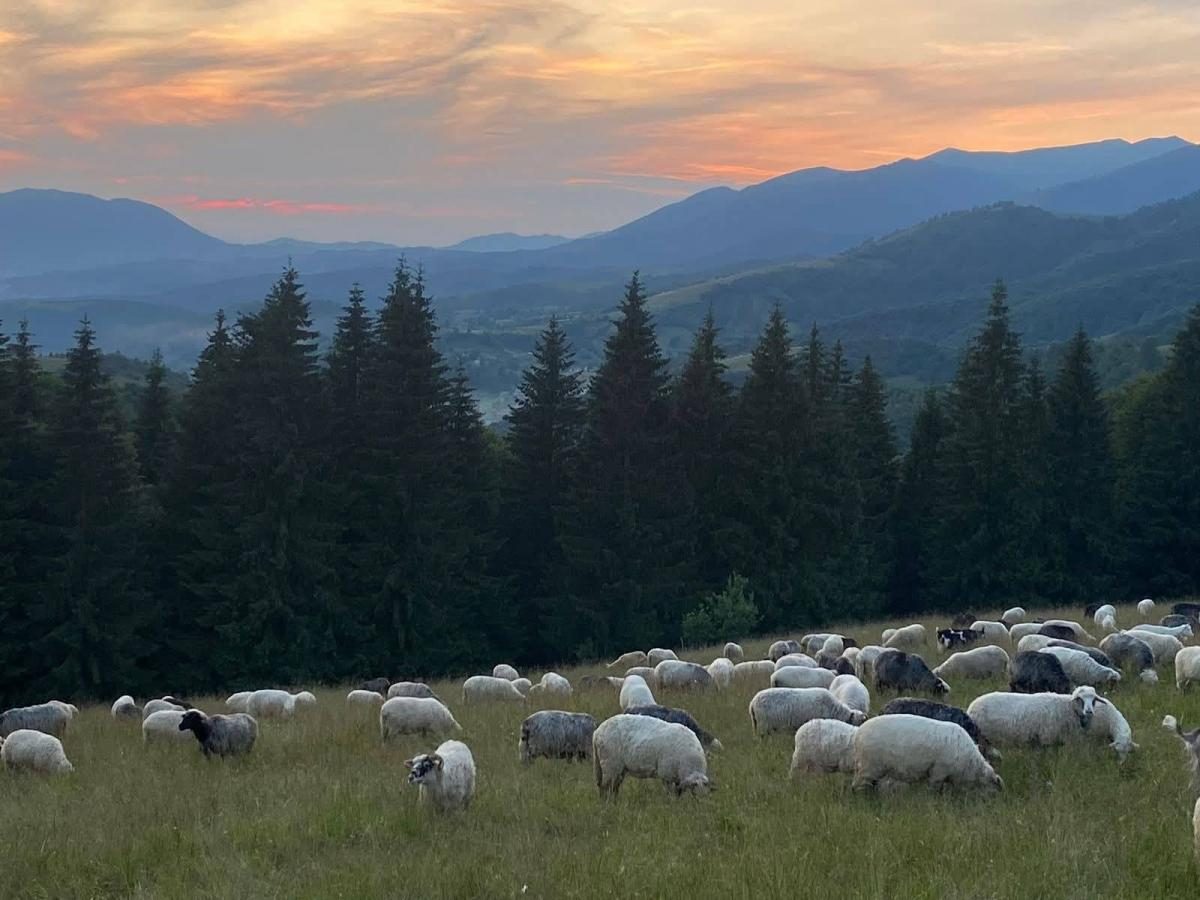 Два українських села потрапили до списку найкращих у світі (фото)
