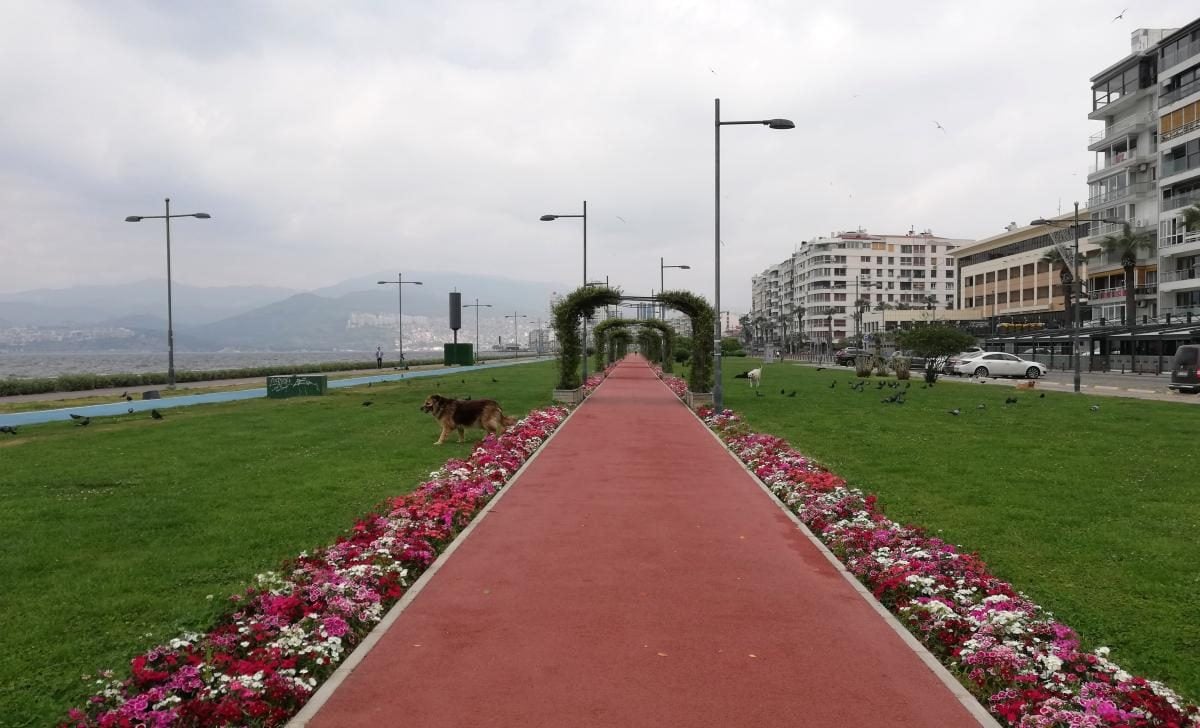 Ізмір: втеча від сірості в колоритне турецьке місто з грецьким корінням