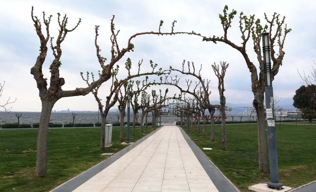 Ізмір: втеча від сірості в колоритне турецьке місто з грецьким корінням