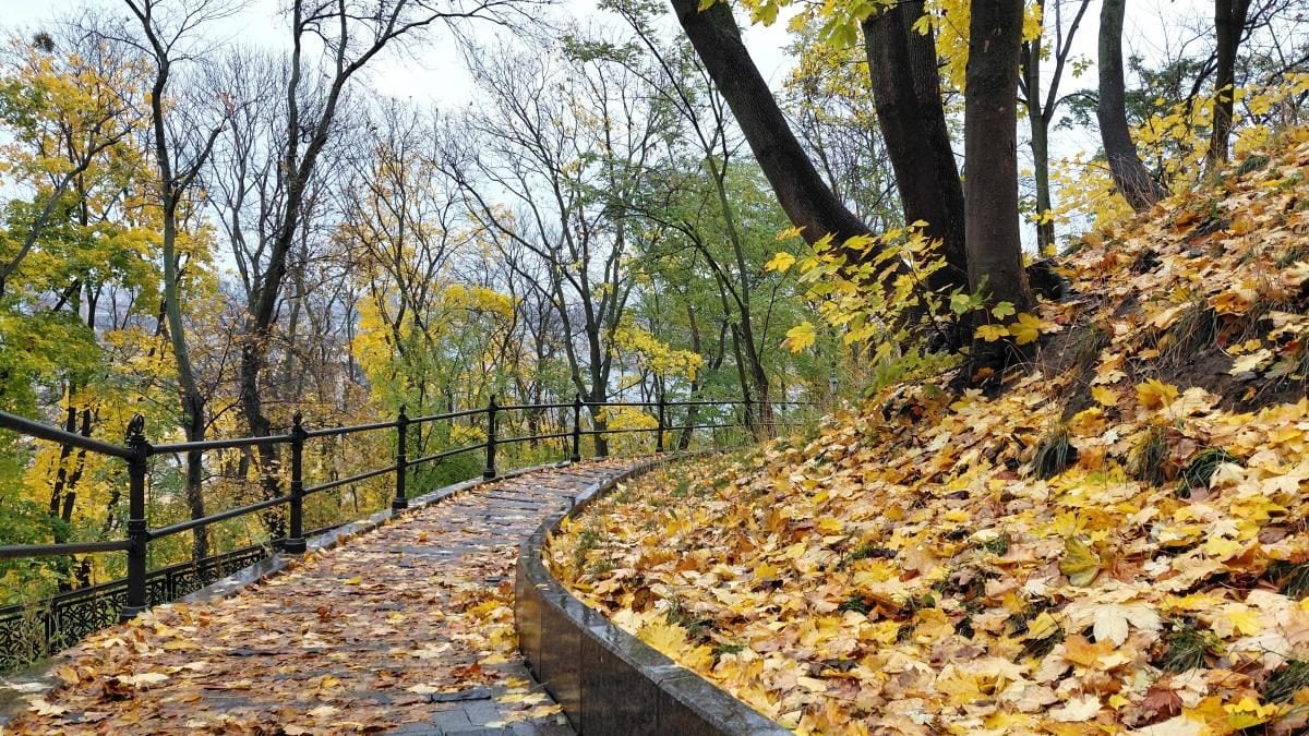 Яскраві фарби та мальовничі краєвиди: чим восени вражає Володимирська гірка у Києві (фото) 11 Яскраві фарби та мальовничі краєвиди: чим восени вражає Володимирська гірка у Києві (фото)