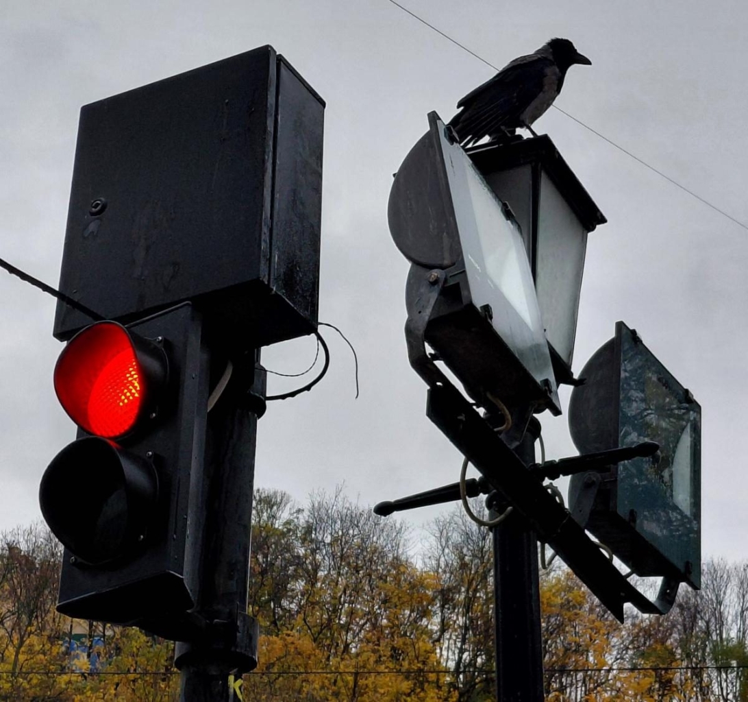 Яскраві фарби та мальовничі краєвиди: чим восени вражає Володимирська гірка у Києві (фото) 14 Яскраві фарби та мальовничі краєвиди: чим восени вражає Володимирська гірка у Києві (фото)