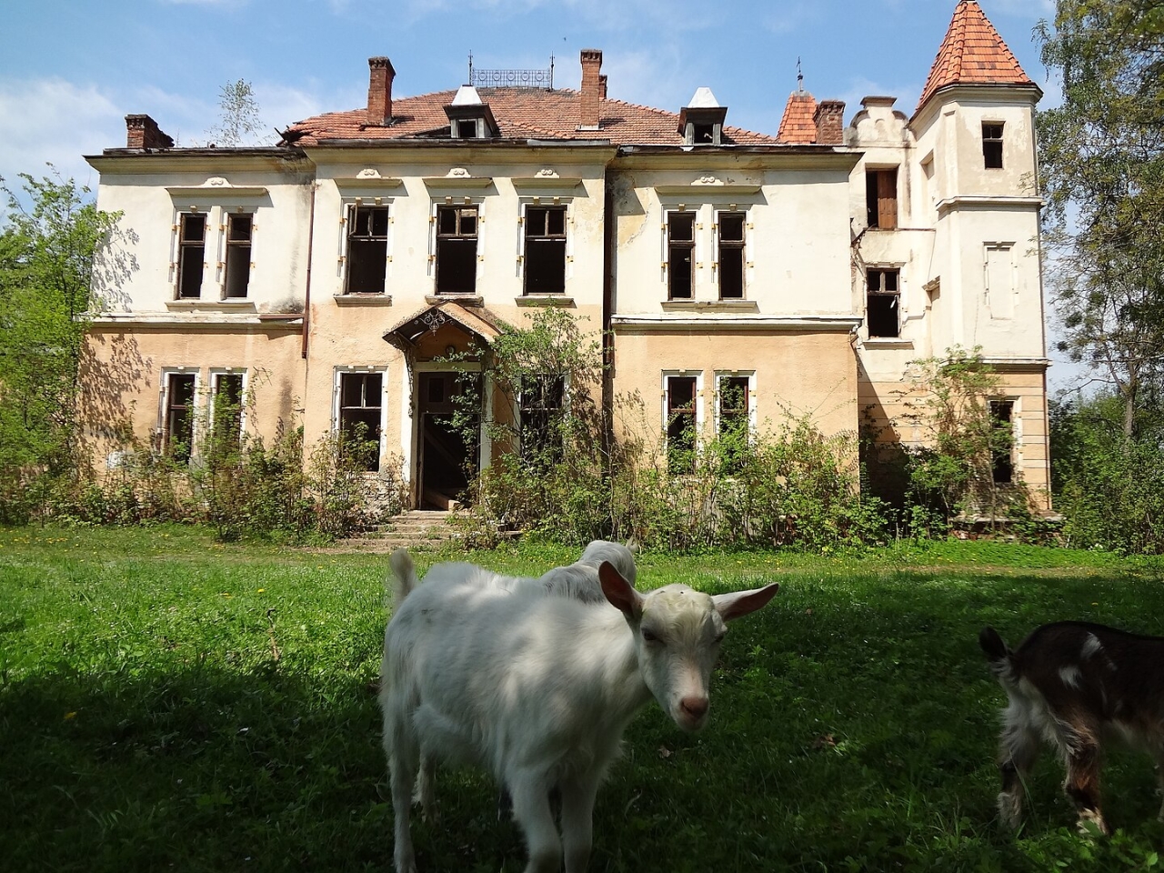 Підгорецький палац та його таємниці - що відомо про віллу Яблоновських Бруницьких Підгорецький палац та його таємниці - що відомо про віллу Яблоновських Бруницьких 4