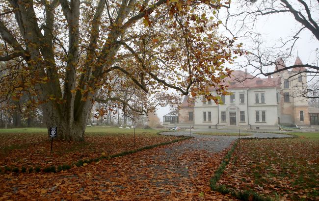 Підгорецький палац та його таємниці - що відомо про віллу Яблоновських Бруницьких 1