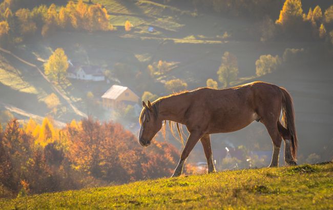 Село-привид без доріг якого немає на картах - що про нього відомо 1