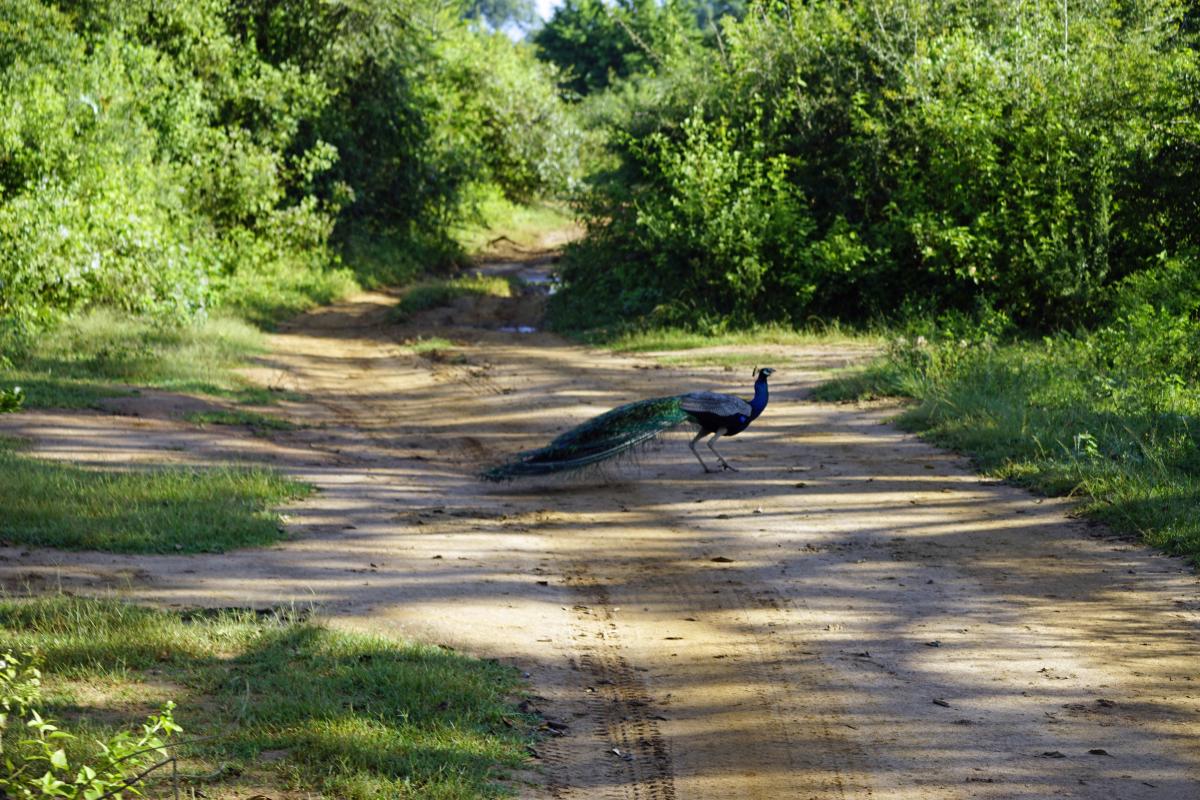 / фото ua.depositphotos.com