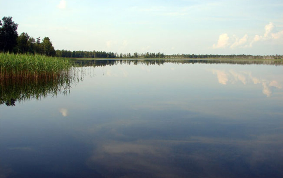 Де в Україні побачити Чумацький Шлях - найкращі локації астротуризму 7