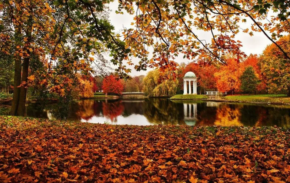 Парки та заповідники України які закохають вас у осінь 2