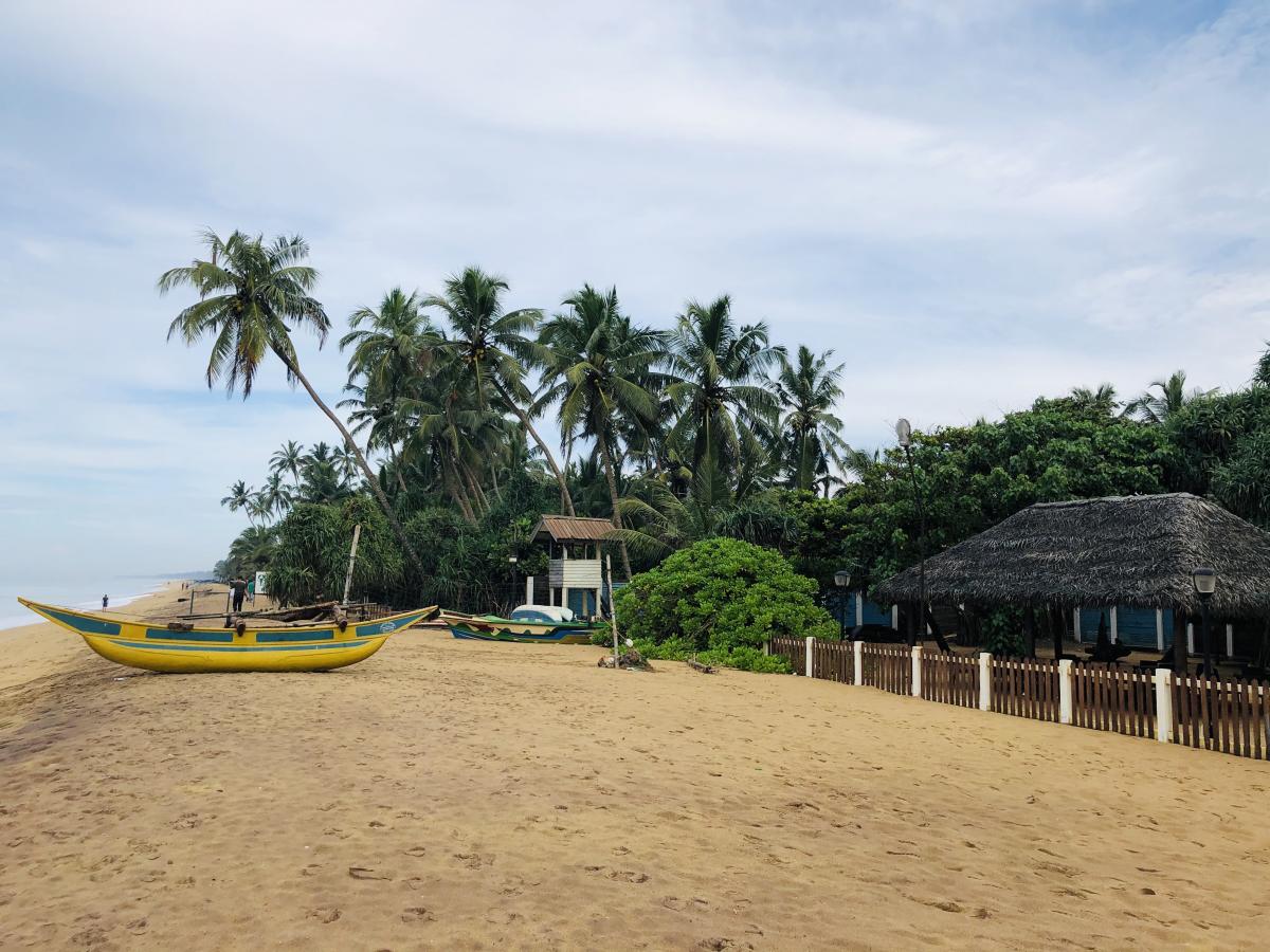 Зимівка на Шрі-Ланці є доволі вигідним варіантом / Фото Вероніка Кордон