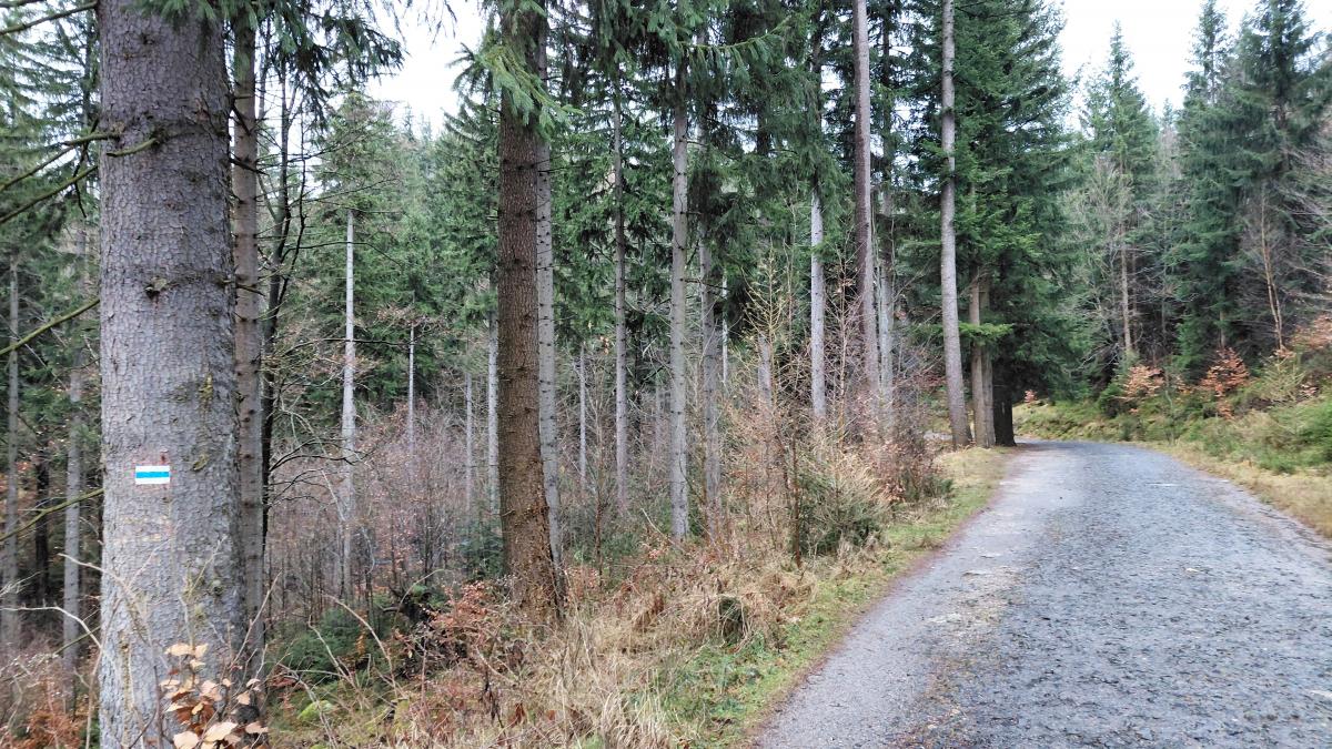 Гірська Польща: містичні Карконоші, ласкаві терми та унікальні церкви