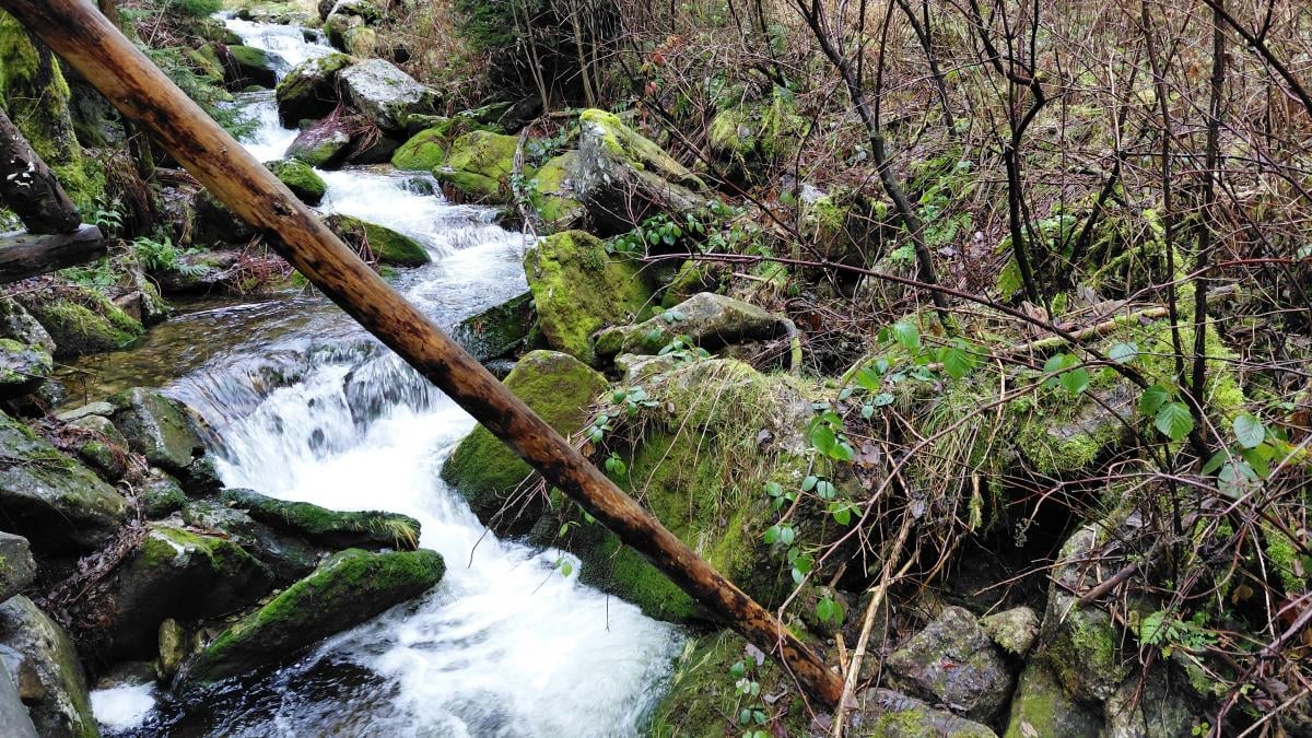 Гірська Польща: містичні Карконоші, ласкаві терми та унікальні церкви