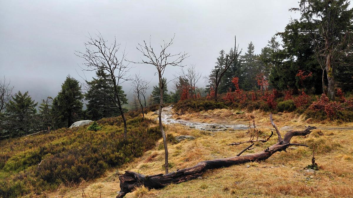 Гірська Польща: містичні Карконоші, ласкаві терми та унікальні церкви