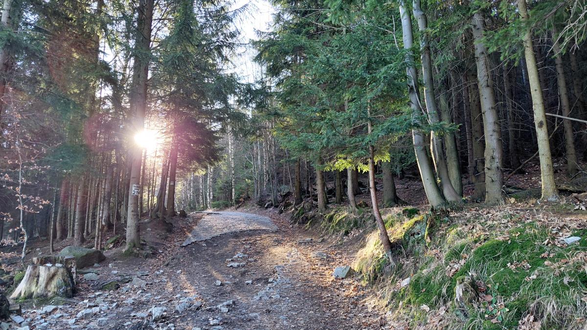 Гірська Польща: містичні Карконоші, ласкаві терми та унікальні церкви