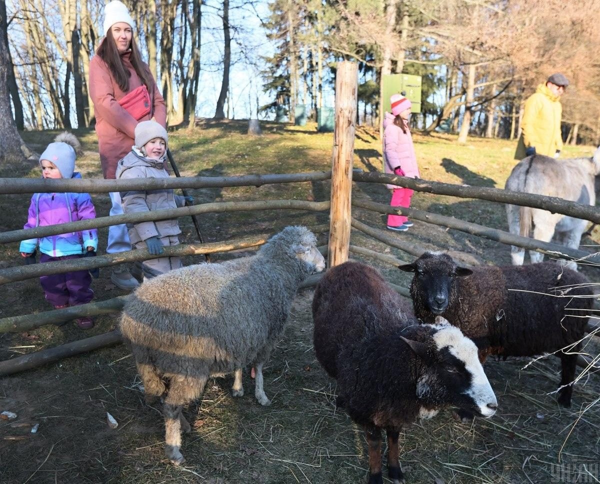 "Різдво в гаю": у Львові стартував фестиваль різдвяних традицій (фото)