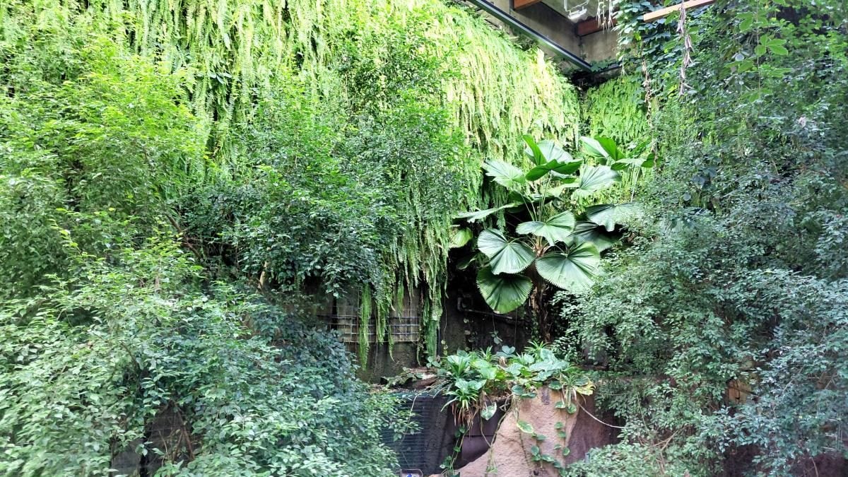 Вроцлав взимку: що подивитися і як зігрітися