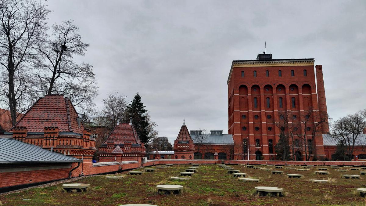 Стара водонапірна вежа у Вроцлаві / фото Марина Григоренко