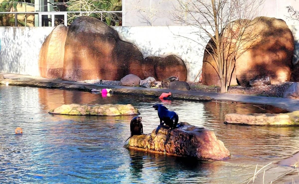 Вроцлав взимку: що подивитися і як зігрітися