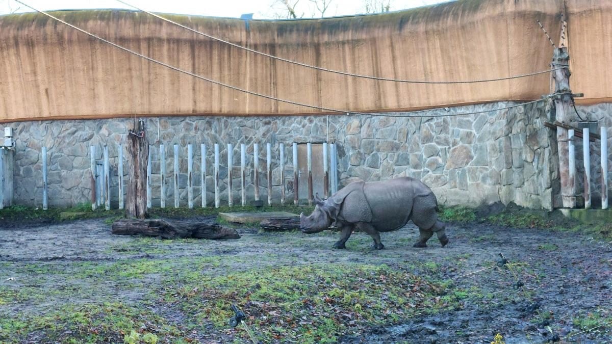 Вроцлав взимку: що подивитися і як зігрітися