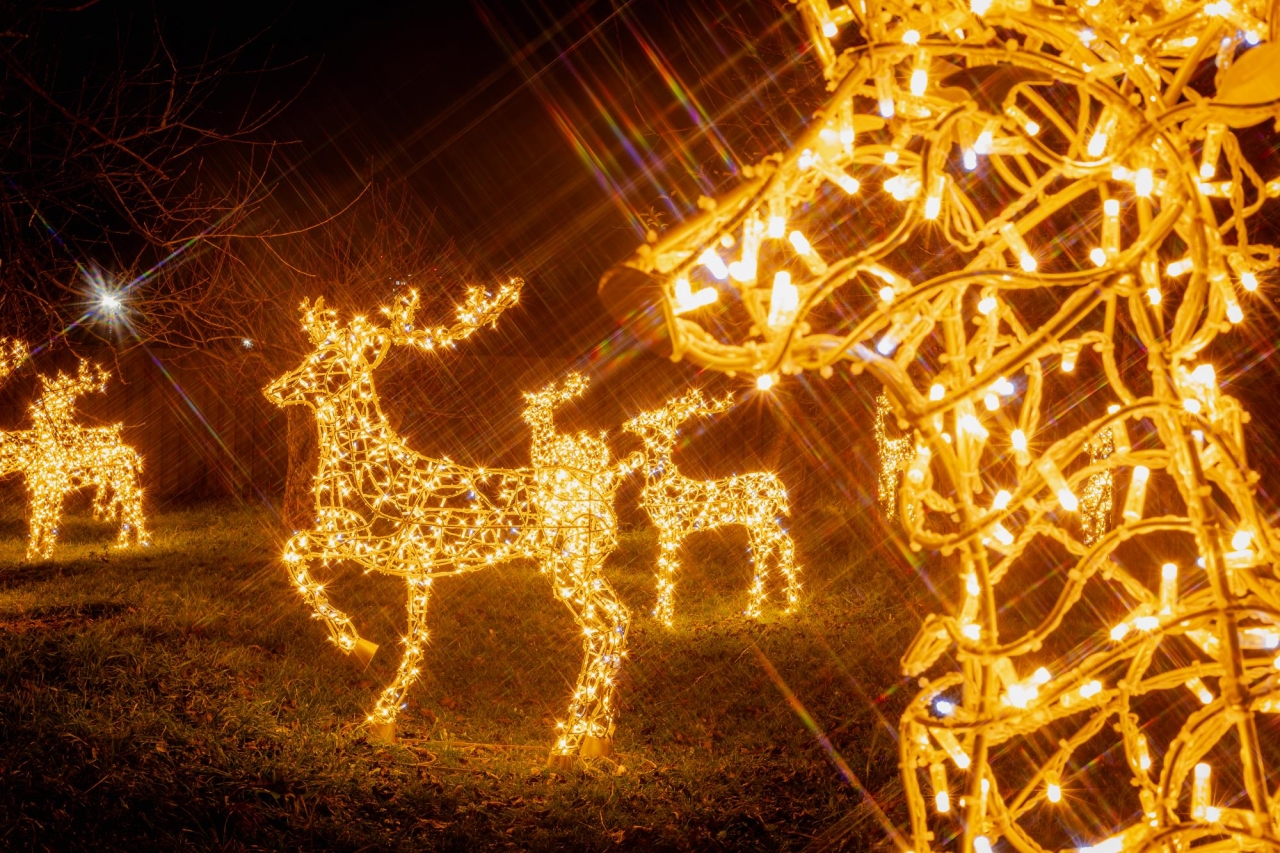 Зимова країна на ВДНГ - які локації варто відвідати, ціни і графік роботи 6