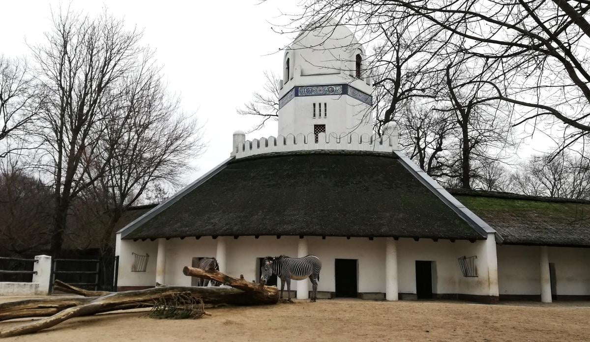 Зоопарк Берліна / фото Марина Григоренко