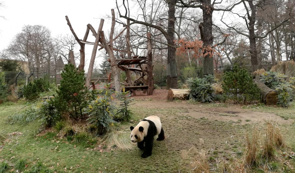 Зоопарк Берліна / фото Марина Григоренко