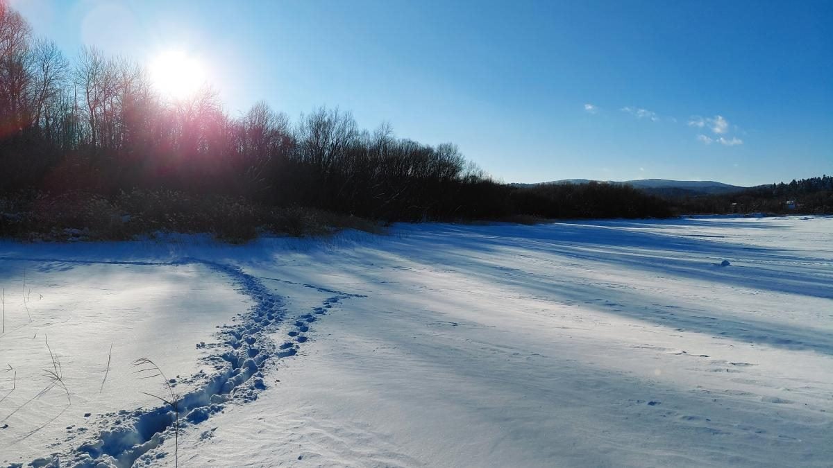 Ліси на Львівщині засипало снігом: це варто побачити (фоторепортаж)