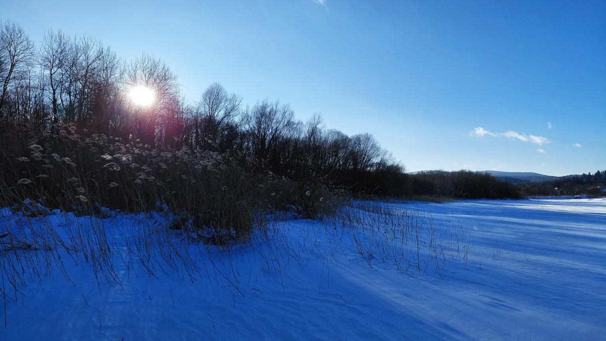 Ліси на Львівщині засипало снігом: це варто побачити (фоторепортаж)