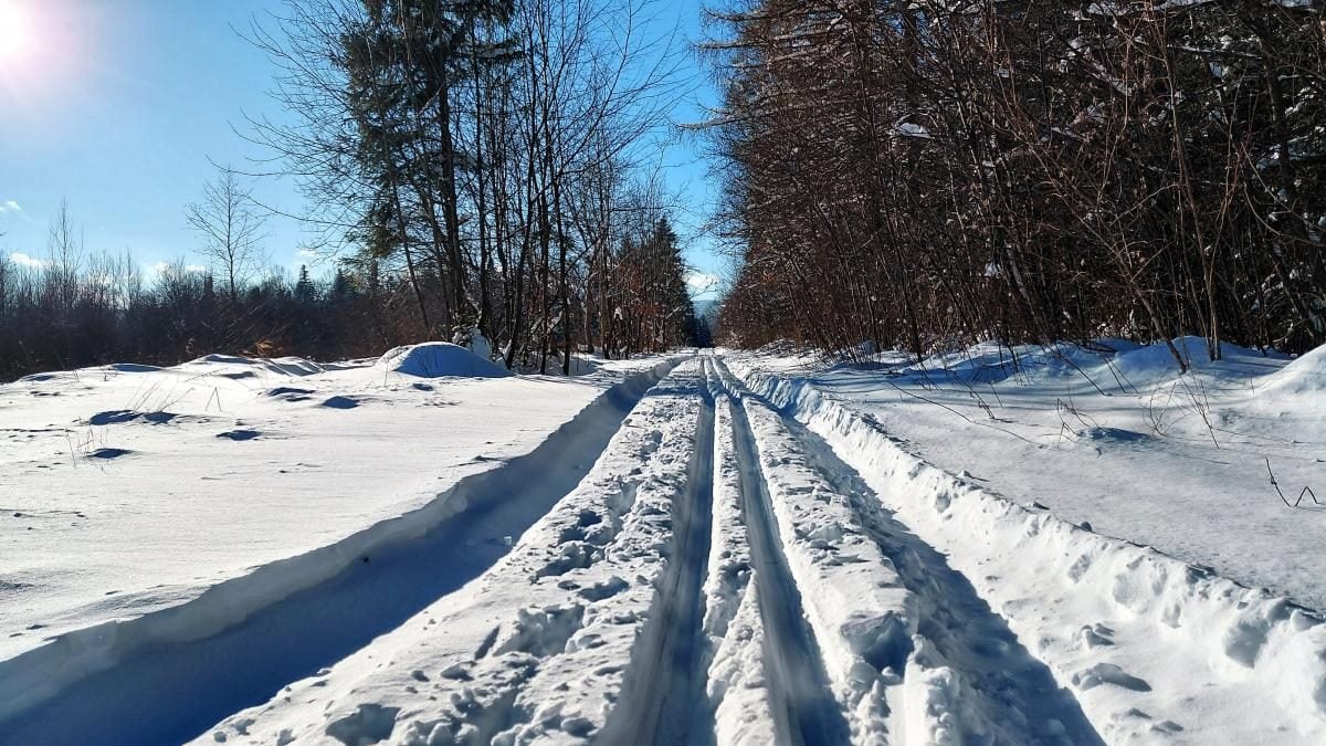 Ліси на Львівщині засипало снігом: це варто побачити (фоторепортаж)