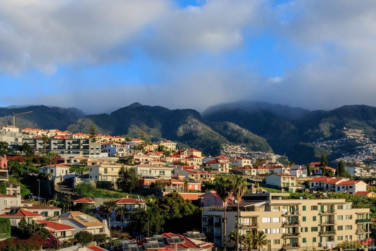 Мадейра – найбільш трендовий напрямок 2026 року: яка ситуація там у січні (фоторепортаж)