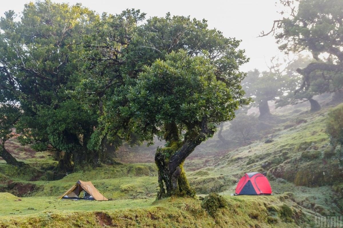 Мадейра – найбільш трендовий напрямок 2026 року: яка ситуація там у січні (фоторепортаж)