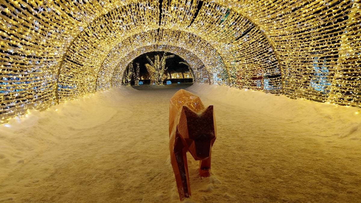 Магія світла: парк вогнів на ВДНГ під снігом засяяв по-новому (фоторепортаж, відео)