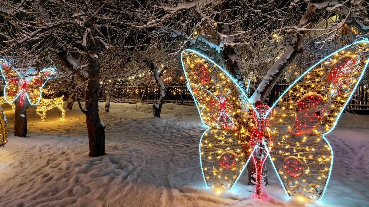 Магія світла: парк вогнів на ВДНГ під снігом засяяв по-новому (фоторепортаж, відео)