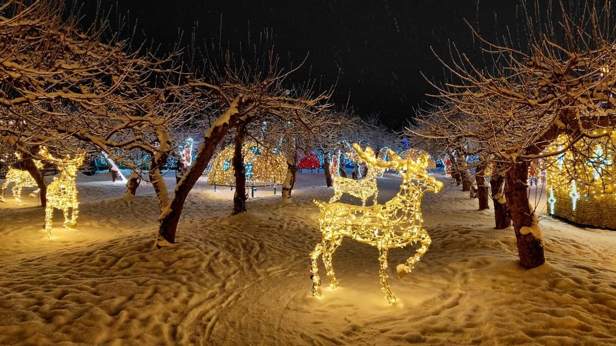 Магія світла: парк вогнів на ВДНГ під снігом засяяв по-новому (фоторепортаж, відео)