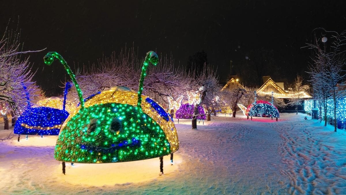 Магія світла: парк вогнів на ВДНГ під снігом засяяв по-новому (фоторепортаж, відео)