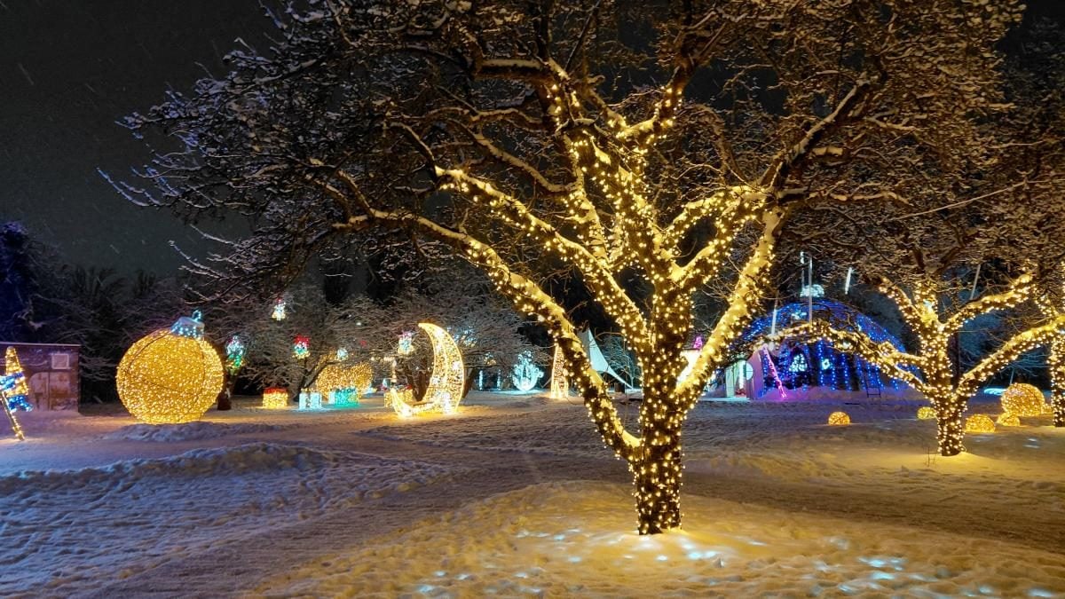 Магія світла: парк вогнів на ВДНГ під снігом засяяв по-новому (фоторепортаж, відео)