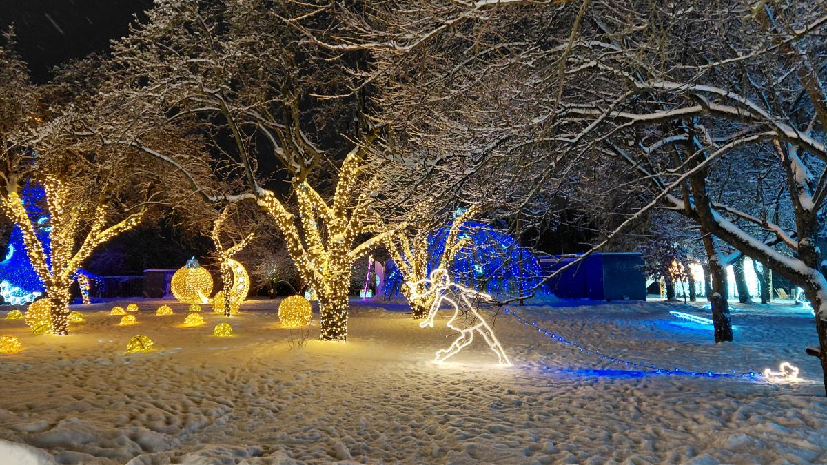 Магія світла: парк вогнів на ВДНГ під снігом засяяв по-новому (фоторепортаж, відео)