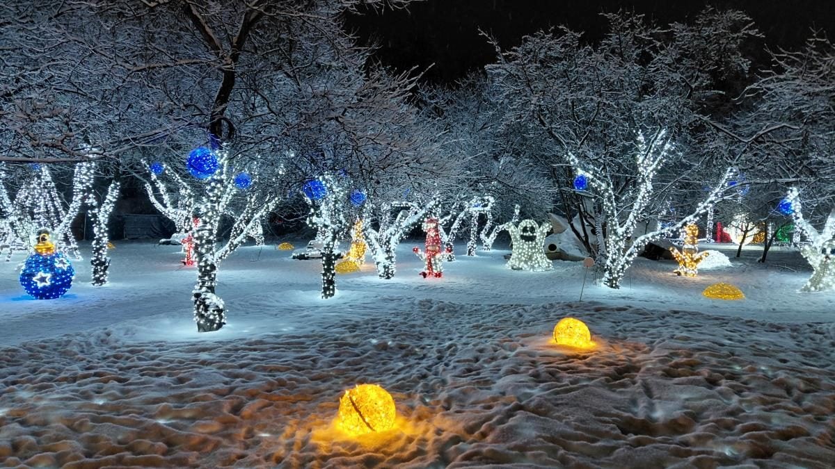 Магія світла: парк вогнів на ВДНГ під снігом засяяв по-новому (фоторепортаж, відео)
