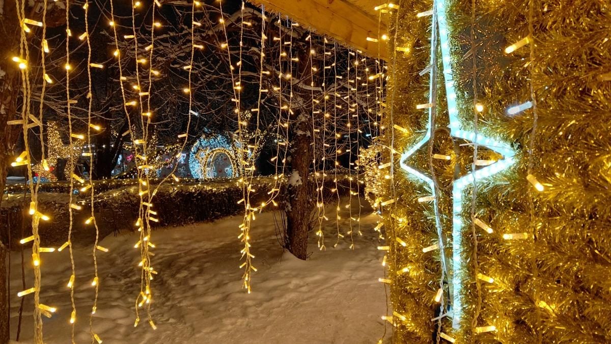 Магія світла: парк вогнів на ВДНГ під снігом засяяв по-новому (фоторепортаж, відео)