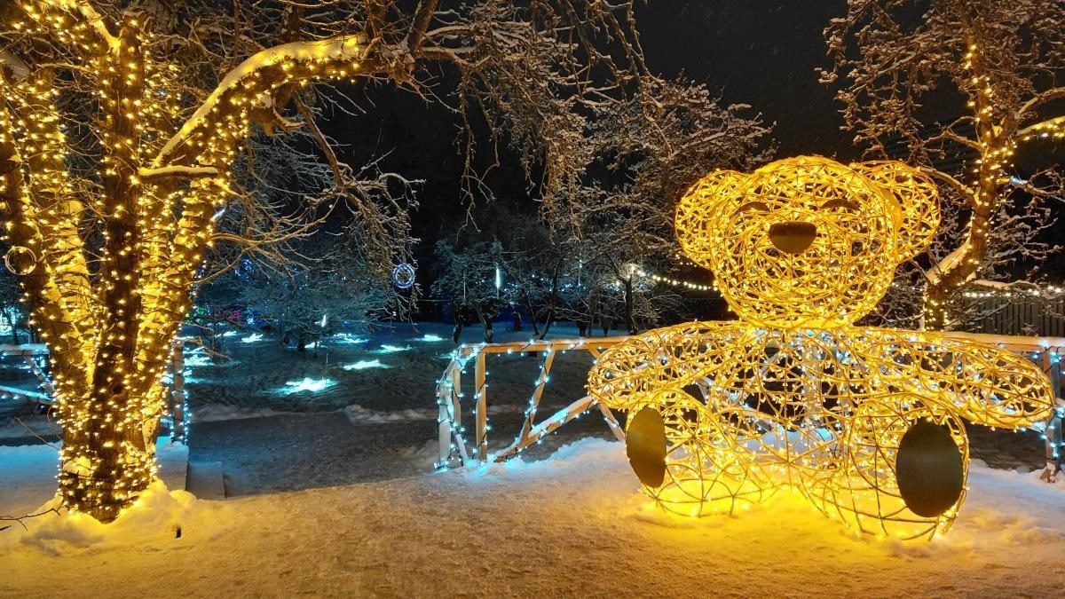 Магія світла: парк вогнів на ВДНГ під снігом засяяв по-новому (фоторепортаж, відео)