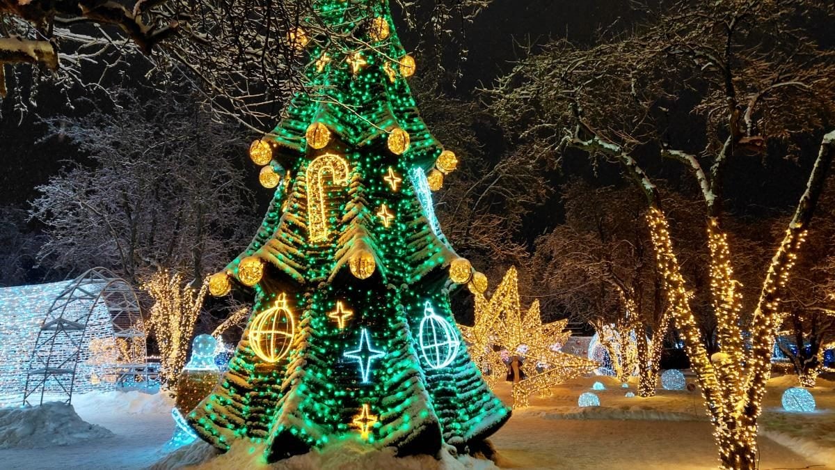 Магія світла: парк вогнів на ВДНГ під снігом засяяв по-новому (фоторепортаж, відео)